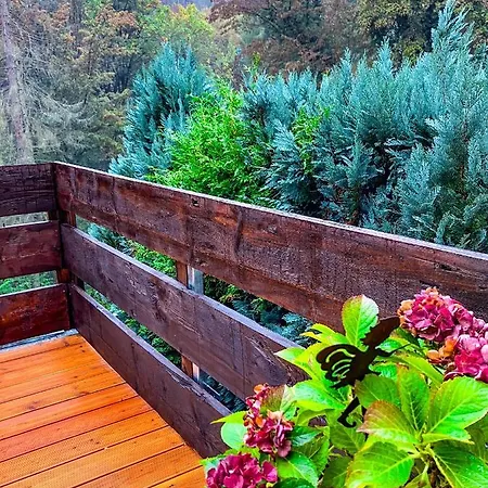 Liethe 13 - Am Malerweg Kurort Gohrisch